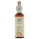 Bach Aspen / Ratelpopulier (esp) 20 ml 02