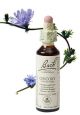 Bach Chicory / Cichorei 20 ml 08