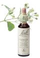 Bach Clematis / Bisrank 20 ml 09