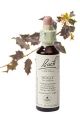 Bach Holly / Hulst 20 ml 15