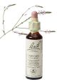 Bach Vervain / Ijzerhard 20 ml 31