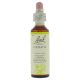 Bach Clematis / Bisrank 20 ml 09