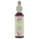 Bach Elm / Veld-iep 20 ml 11
