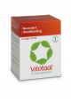 Vitotaal Ginkgo Forte 120 mg  90 Capsules