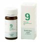Sels de Schüssler nr 9 Natrium Phosphoricum D6 100 comprimés
