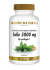 Golden Naturals Sage 5000 mg 60 gélules