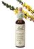 Bach Agrimony / Agrimonie  20 ml 01
