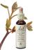 Bach Chestnut Bud / Kastanjeknop 20 ml 07